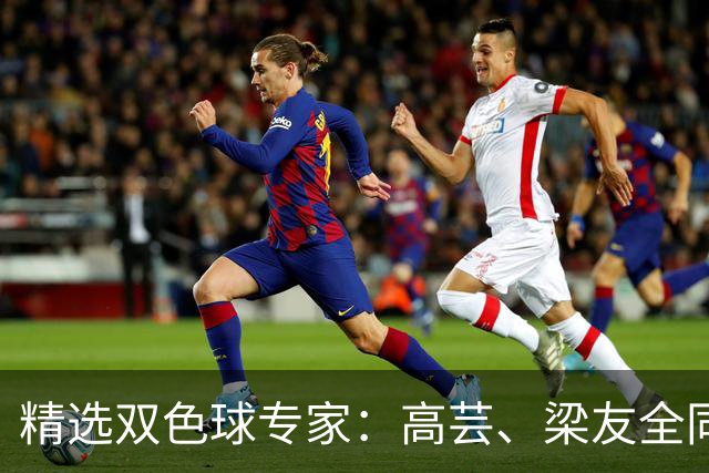精选双色球专家：高芸、梁友全同中二等279万！